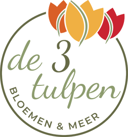 de 3 tulpen Logo